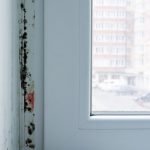 MOISISSURE SUR UNE FENÊTRE EN PVC