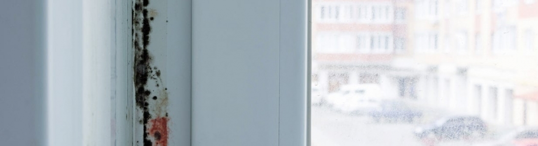 Moisissure sur une fenêtre en PVC: causes et solutions