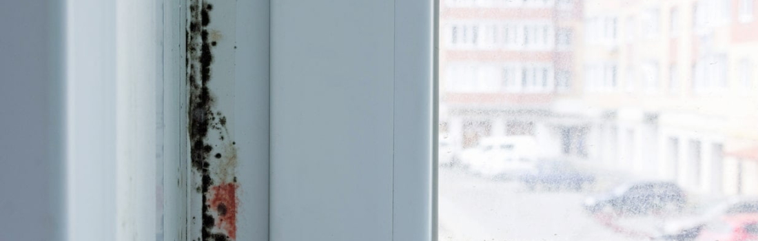 Moisissure sur une fenêtre en PVC: causes et solutions