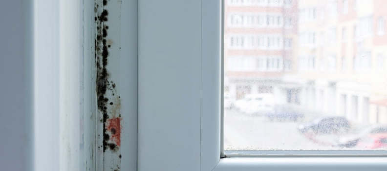 Moisissure sur une fenêtre en PVC: causes et solutions